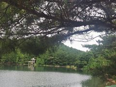 -四明山国家森林公园