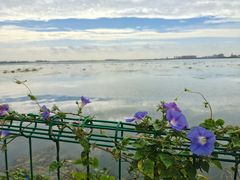 -阳澄湖半岛旅游度假区