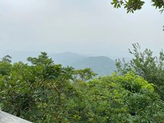 -广州市帽峰山景区
