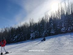 -果松木炭酸菜铜火锅·外婆参鸡汤