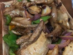 回锅肉-乐友川味家常菜馆
