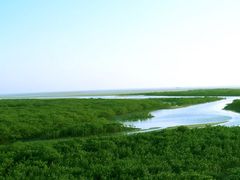 -北海金海湾红树林生态旅游区