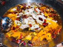 -雲蜀龙阁·金牌水煮鱼(方庄店)