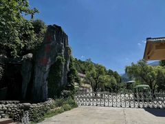 -青峰峡国家森林公园