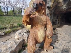 -北京野生动物园