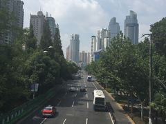 -洋洋锅贴