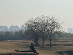 -盘龙城国家考古遗址公园