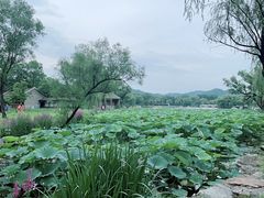 -承德避暑山庄景区