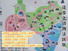 -红山森林动物园