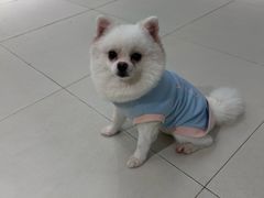 -怪兽屋·羊驼·猫咖·狗咖(俊华广场店)