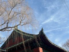 -趵突泉景区