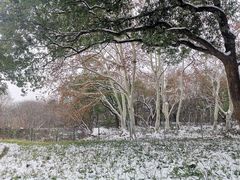 -东湖落雁景区