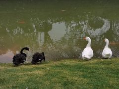 -广州市第二中学高中部(科学城校区)