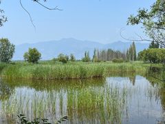 -百里山水画廊