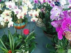 -南通洲际绿博园