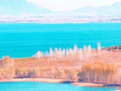 -野鸭湖国家湿地公园