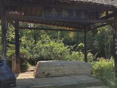 -杏花村文化旅游区
