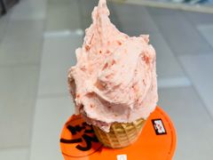 -野人先生现做冰淇淋(北京环宇荟店)