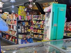 -枫花园汽车电影院(朝阳公园店)