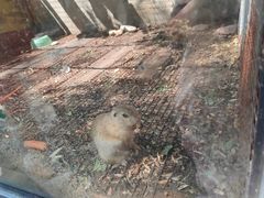 -北京鹿世界主题园