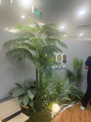 -八佰伴8008星级形象店