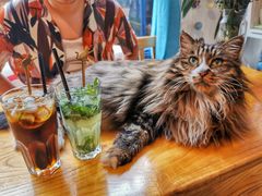 -Anne猫窝咖啡屋