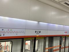 -野芷湖(地铁站)