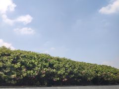 -广州市帽峰山景区