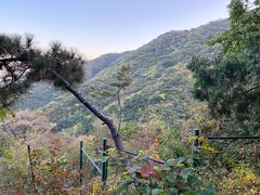 -香山公园