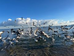 -青海湖二郎剑景区