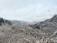 -安吉龙王山风景区