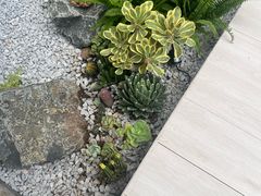 -喜茶(珠海华发商都店)