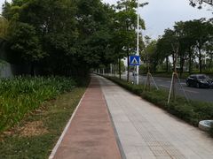 -蓝楹湾度假酒店