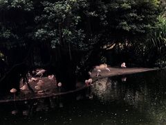 -九龙公园