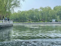 -皇家御河游(紫御湾码头)
