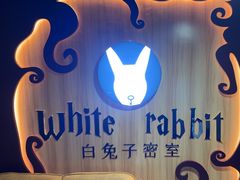 -白兔子密室(长寿路店)