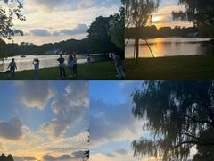 -上海共青森林公园