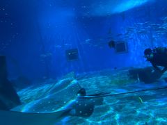 -北戴河圣蓝海洋公园