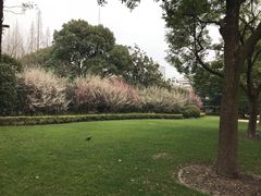 -宋庆龄陵园