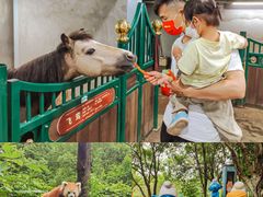 -杭州少年儿童公园