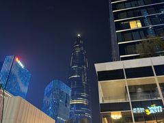 -深圳湾万象城(南山店)