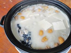 -一路顺风太安鱼