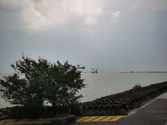 -上海滨江森林公园