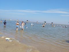 -碧海金沙