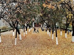 -山东师范大学(千佛山校区)