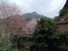 -太湖源风景区