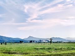 -敕勒川草原