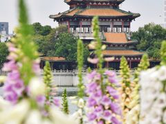 -顺峰山公园