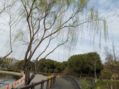 -尚贤河湿地