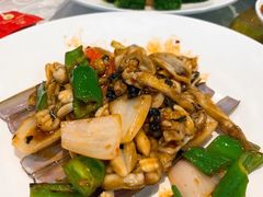 圣子皇-香山家宴